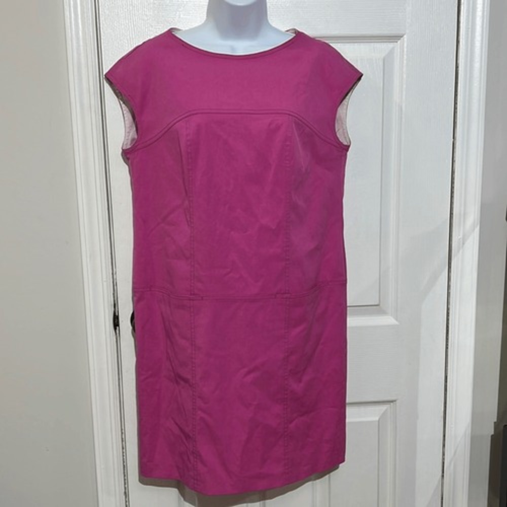 Escada Dulce Shift Dress Womens‎ Pink Cap Sleeve Lyocell Blend Size 40